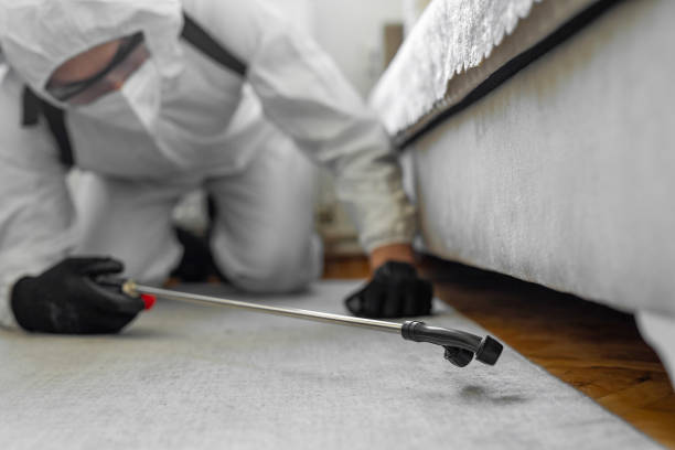 Professional Bed Bug Control technician working in Sterling, AK